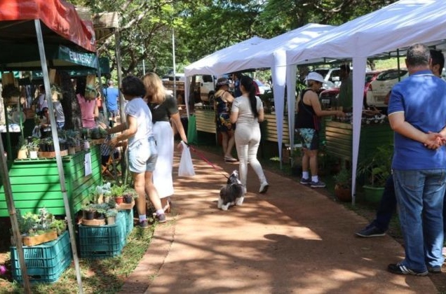 Feira do Parque da Cidade é reativada