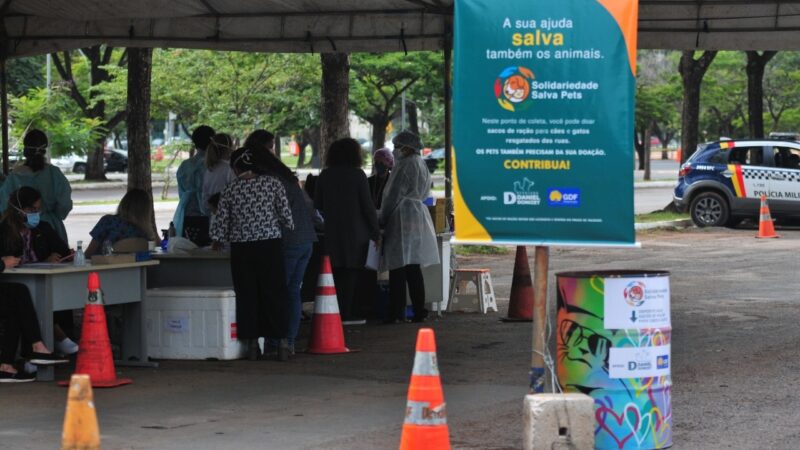 Animais também precisam de solidariedade