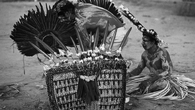 Cultura dos bororos do Centro-Oeste é tema de mostra virtual