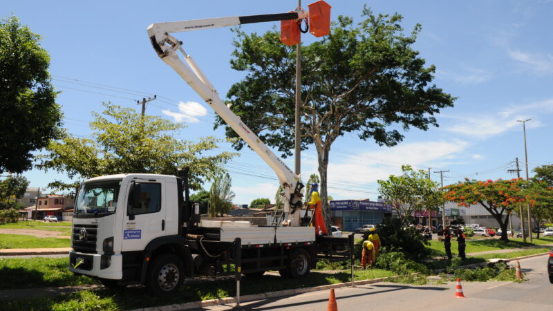 Após mapeadas, 230 árvores são podadas em Santa Maria