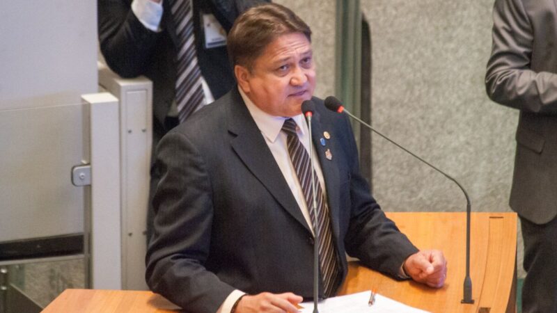 CLDF derruba veto e cria Parque Ecológico Mangueiral