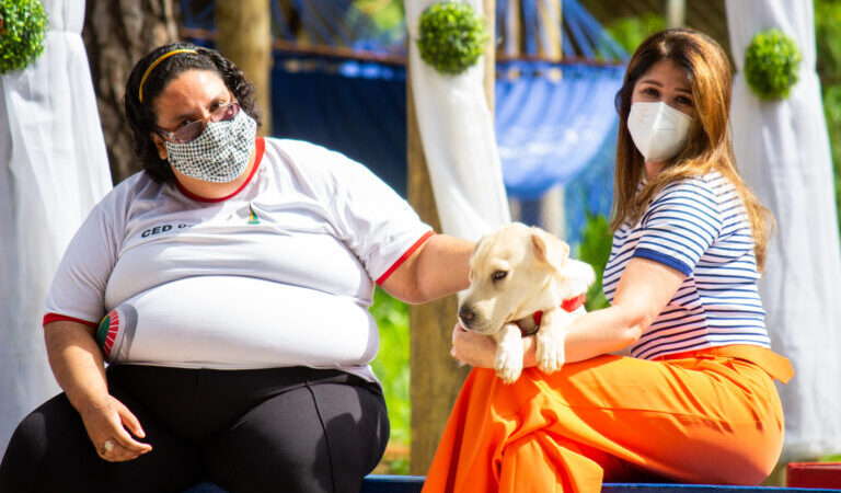 Cãoterapia, uma ideia bem-sucedida contra a ansiedade na escola