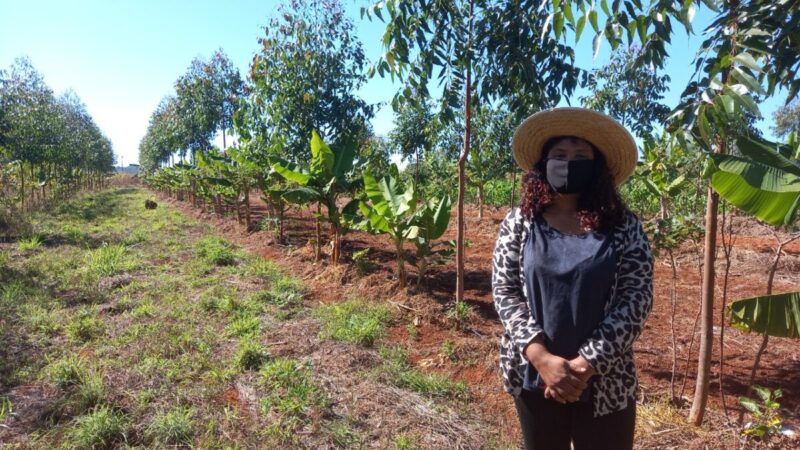 Projeto capacitará agricultores para a venda de alimentos