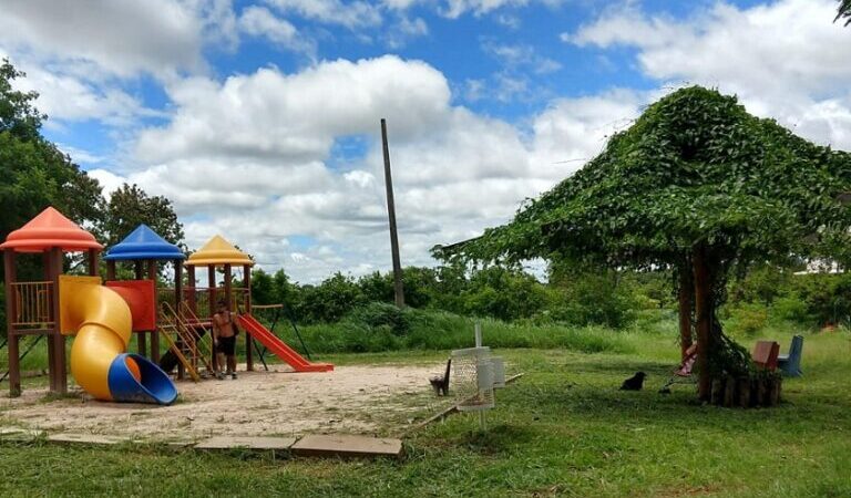 Programa Reviva Parques dá início a melhorias no Parque da Asa Sul