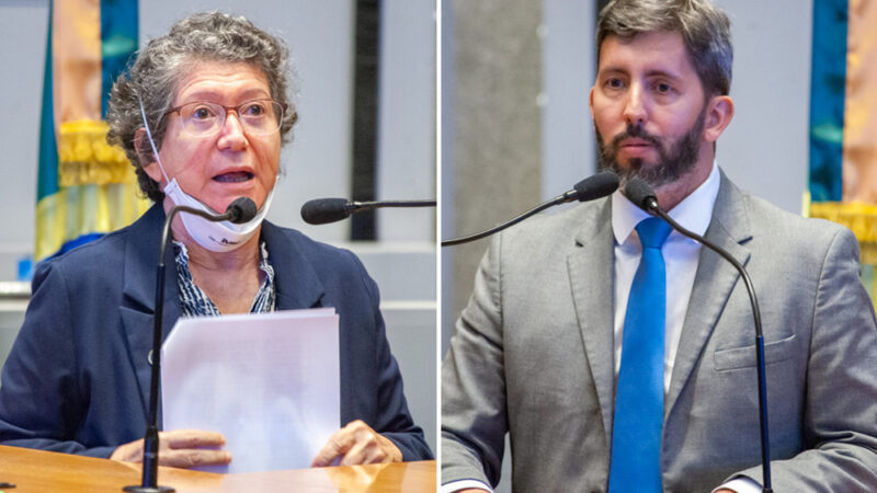 Deputados cobram mais atenção ao combate à grilagem no DF