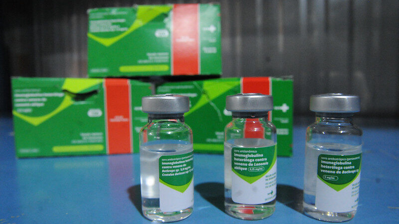 Cuidado! Animais peçonhentos picaram 3,3 mil no DF