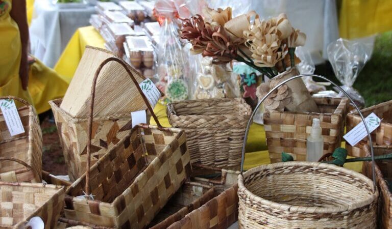 Feira no Parque da Cidade tem edição dedicada às mães