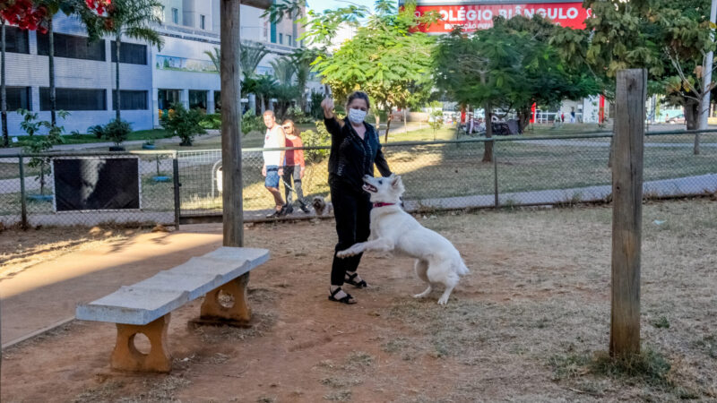 Parcães, os espaços bons pra cachorro do DF