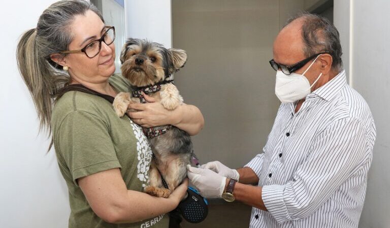 Aproveite a campanha antirrábica para atualizar a vacinação de seu pet