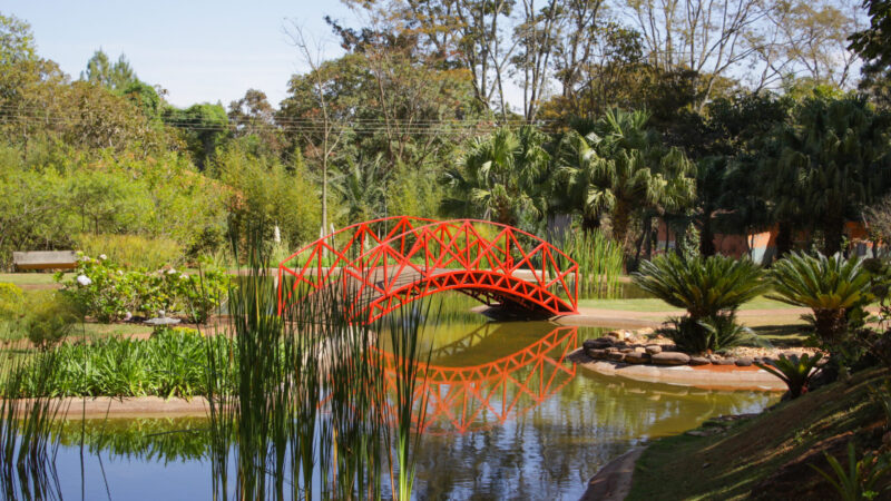 As muitas belezas e atrações do Jardim Botânico nas férias de julho