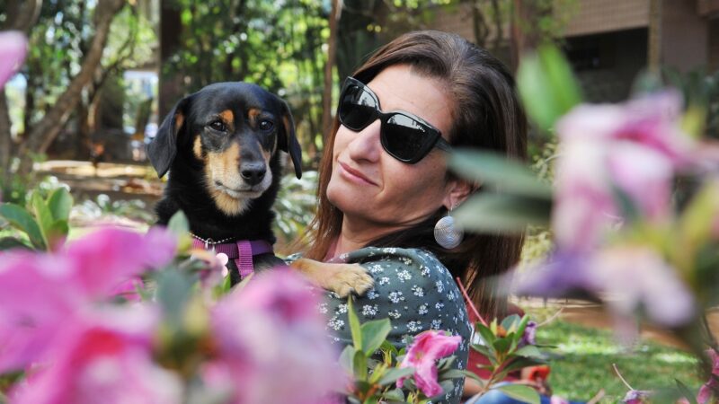 Maltratar animais é crime, veja como denunciar