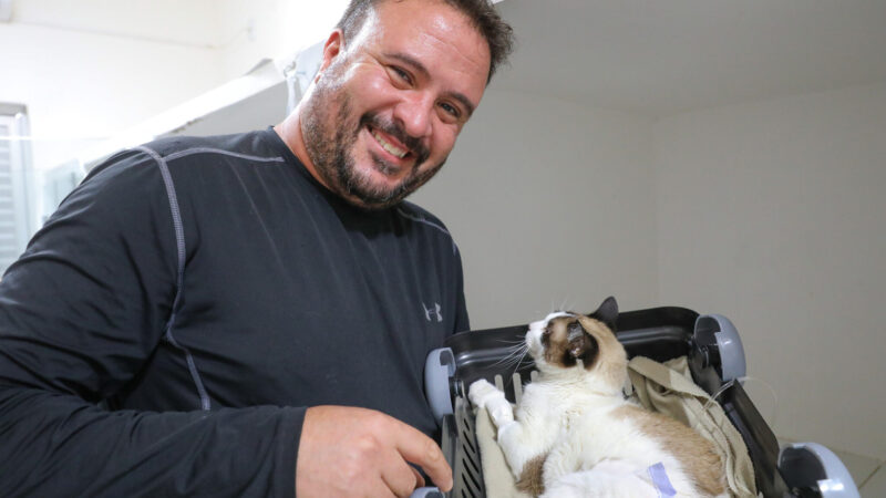 Março Amarelo alerta para os cuidados com as doenças renais em pets