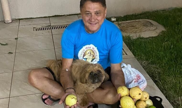 Dia dos Animais: PL de João Cardoso obriga pet shops, clínicas veterinárias e hospitais veterinários a denunciarem maus tratos