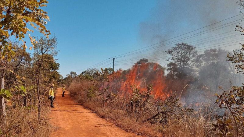 Brasília Ambiental realiza aceiro de fogo na Esecae